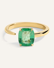 Flux Ring