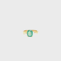 Flux Ring
