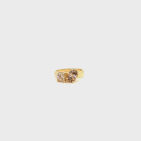 Equinox Ring
